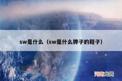 sw是什么牌子的鞋子 sw是什么
