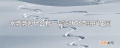 冰墩墩为什么有一层透明外壳蚂蚁庄园
