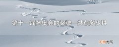 第十一届冬奥会的奖牌一共有多少种