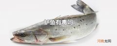 鲈鱼有毒吗
