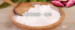 小粉和淀粉一样吗