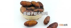 茧蛹子能冷冻吗