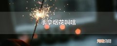 手拿烟花叫啥