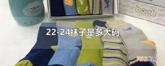 22-24袜子是多大码