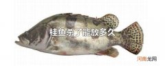 桂鱼杀了能放多久