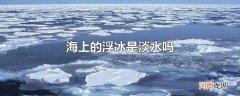海上的浮冰是淡水吗