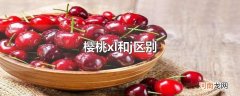 樱桃xl和j区别