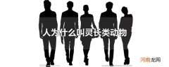 人为什么叫灵长类动物