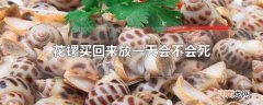 花螺买回来放一天会不会死