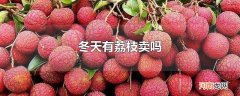 冬天有荔枝卖吗