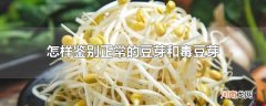 怎样鉴别正常的豆芽和毒豆芽