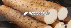 山药的寓意和象征