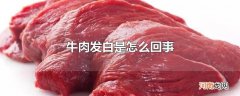 牛肉发白是怎么回事