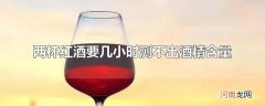 两杯红酒要几小时测不出酒精含量
