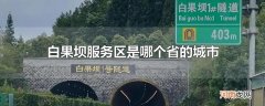 白果坝服务区是哪个省的城市
