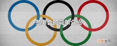 冬奥会的简单介绍