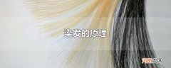 染发的原理