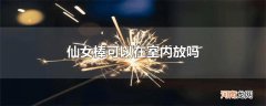 仙女棒可以在室内放吗