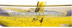 精炼氢化植物油是反式脂肪酸吗
