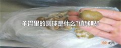 羊胃里的圆球是什么?值钱吗?