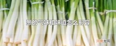 葱的气味和味道怎么形容