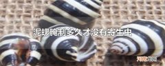 泥螺腌制多久才没有寄生虫