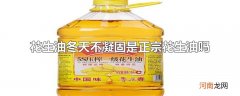 花生油冬天不凝固是正宗花生油吗