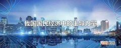 我国国民经济中的主导力量