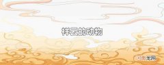 祥云的动物