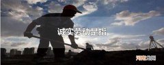 诚实劳动是指