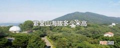 紫金山海拔多少米高