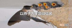 以燕子为主题微信名