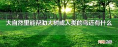 大自然里能帮助大树或人类的鸟还有什么