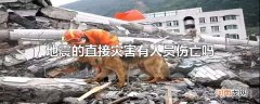 地震的直接灾害有人员伤亡吗