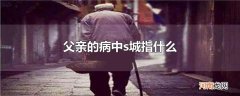 父亲的病中s城指什么