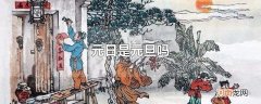 元日是元旦吗