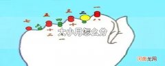 大小月怎么分
