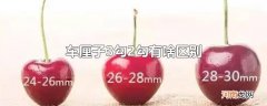 车厘子3勾2勾有啥区别