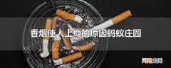 香烟使人上瘾的原因蚂蚁庄园
