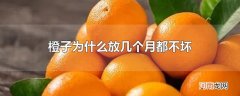 橙子为什么放几个月都不坏