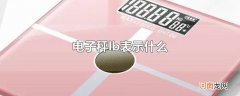 电子秤lb表示什么