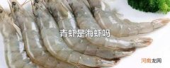 青虾是海虾吗