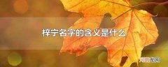 梓宁名字的含义是什么