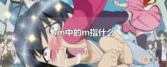 sm中的m指什么