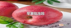 苹果怕冻吗