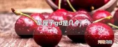 车厘子gd是几个j