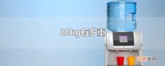 20kg有多重