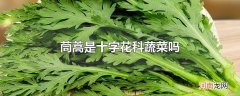 茼蒿是十字花科蔬菜吗