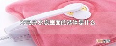 充电热水袋里面的液体是什么
