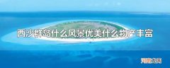 西沙群岛什么风景优美什么物产丰富